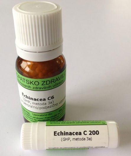 Echinacea C12, kroglice - 10 g