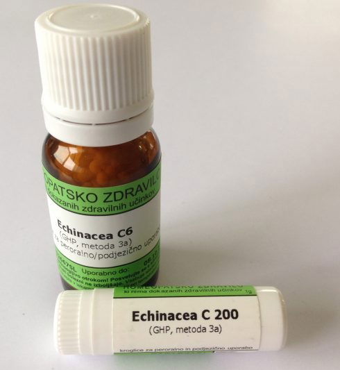 Echinacea C30, kroglice - 10 g