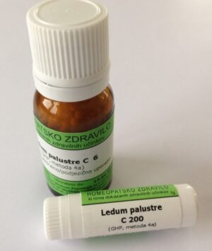 Ledum palustre C12, kroglice - 10 g 