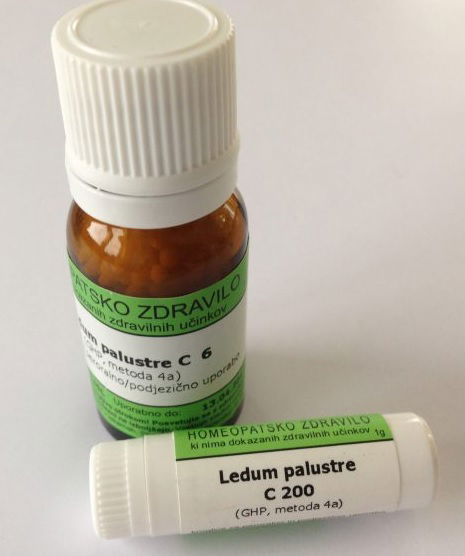 Ledum palustre C12, kroglice - 1 g 