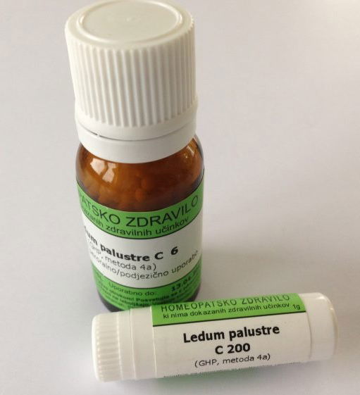 Ledum palustre C30, kroglice - 10 g 