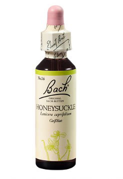 Bach kapljice št.16 - Honeysuckle