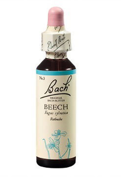 Bach kapljice št.3 - Beech